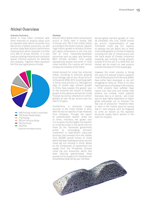 Annual Report page 17